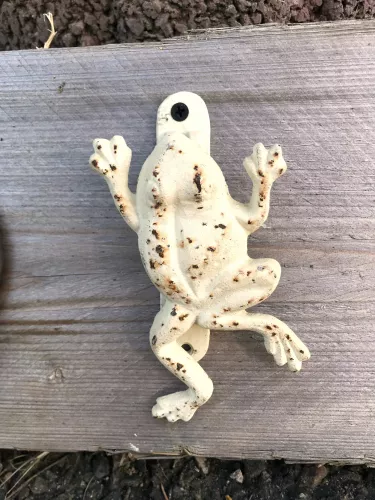 Türklopfer Frosch