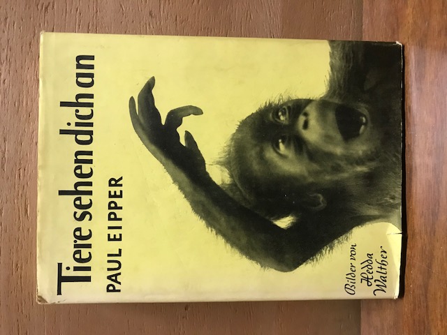 Tiere sehen dich an, Paul Eipper