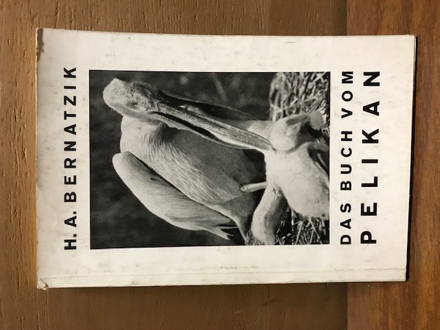 Das Buch vom Pelikan, H.A. Bernatzik