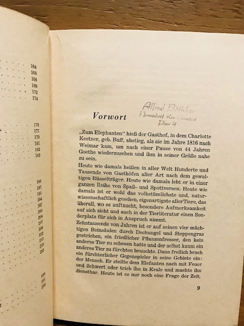 Das Elefantenbuch