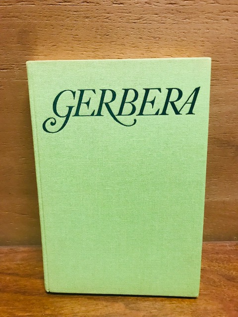 Gerbera