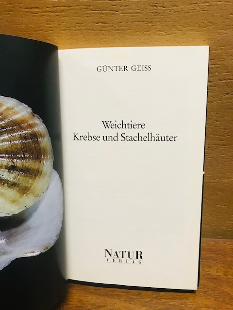 Weichtiere, Krebse, Stachelhäuter des Mittelmeeres