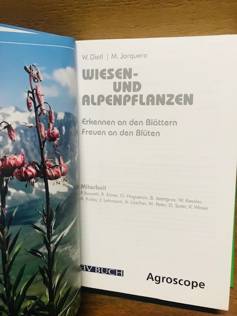 Wiesen- und Alpenpflanzen