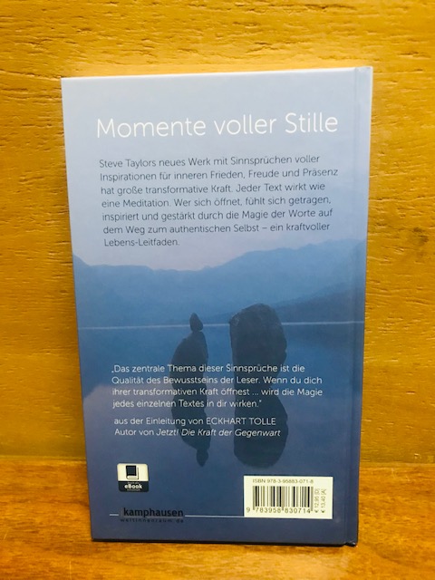 Stille, Steve Taylor