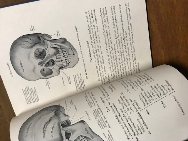 Anatomie und Physiologie