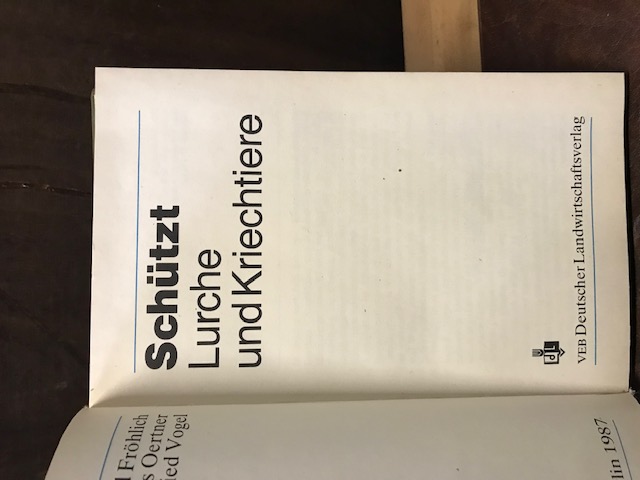 Schützt Lurche und Kriechtiere