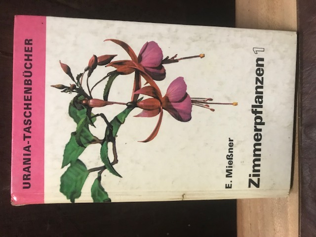 Zimmerpflanzen