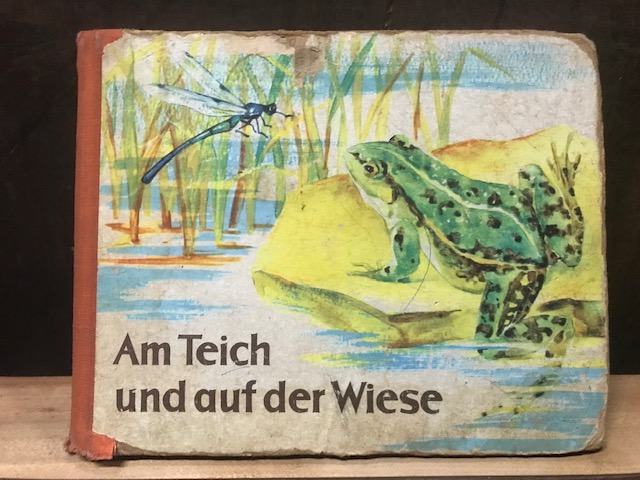 Am Teich und auf der Wiese