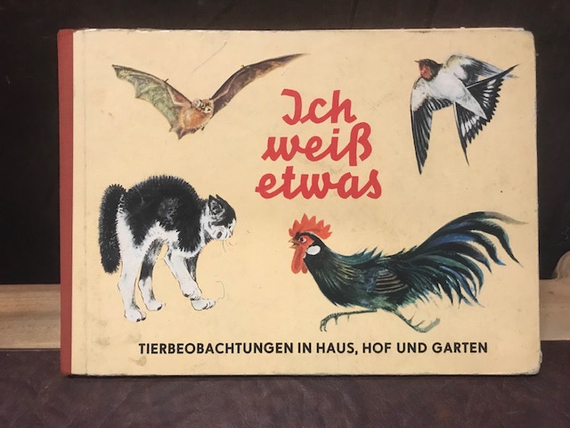 Ich weiß etwas