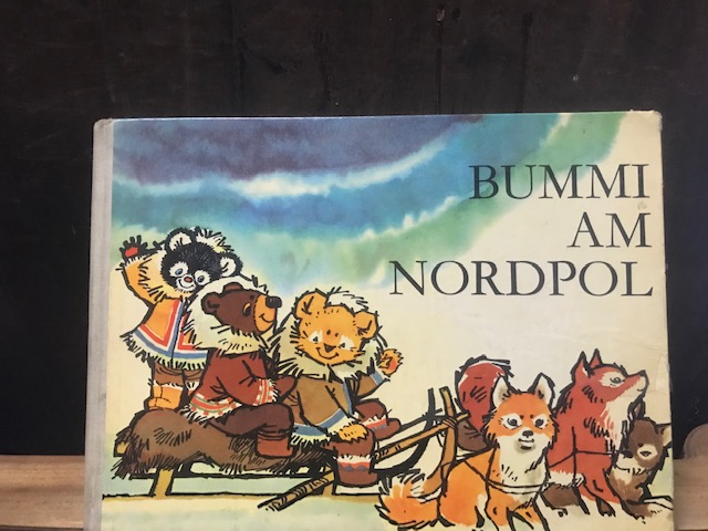 Bummi am Nordpol