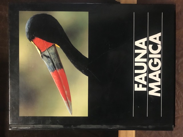 Fauna Magica