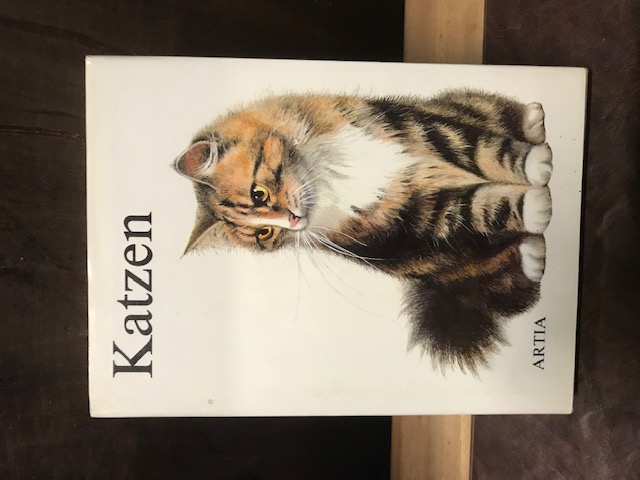 Katzen