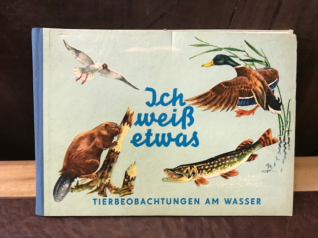 Ich weiss etwas, Tierbeobachtungen am Wasser