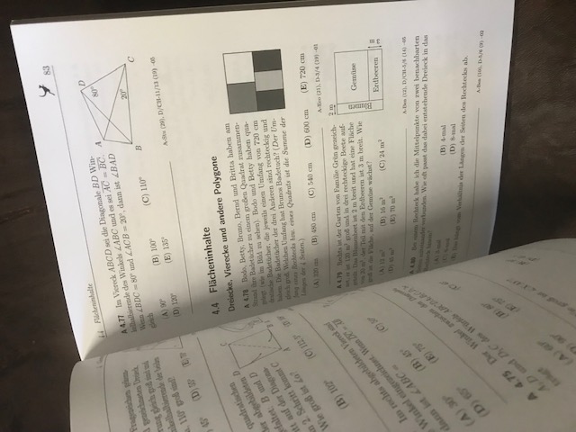 Mathe mit dem Känguru, Die schönsten Aufgaben 1995