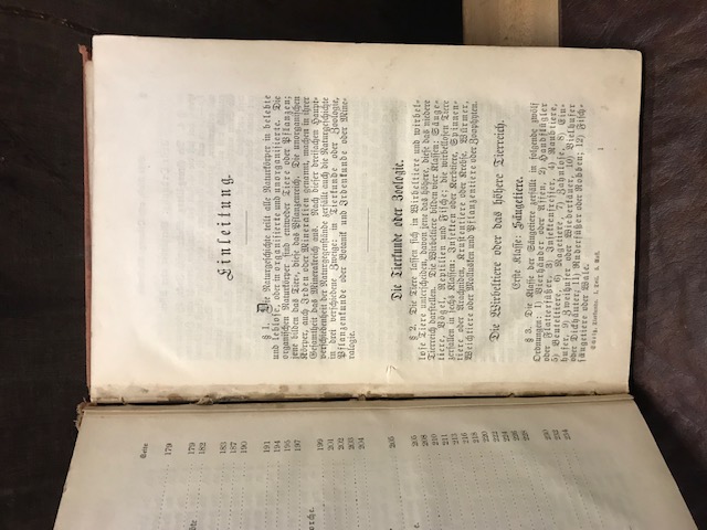 Das Wissenwürdigste aus der Tierkunde, Scholz,1884