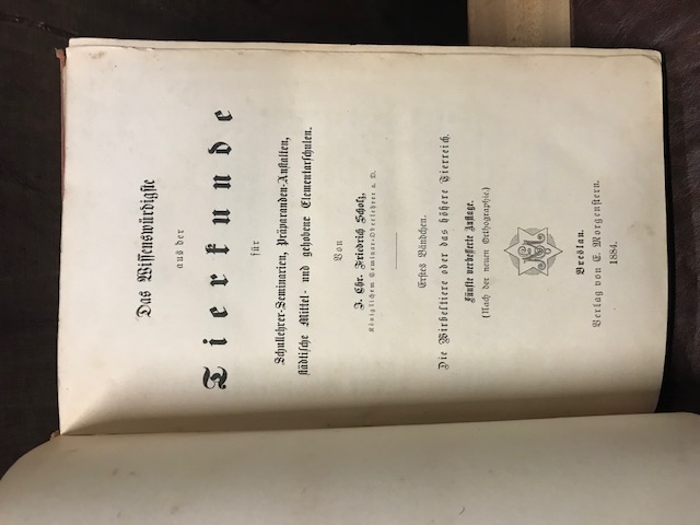 Das Wissenwürdigste aus der Tierkunde, Scholz,1884